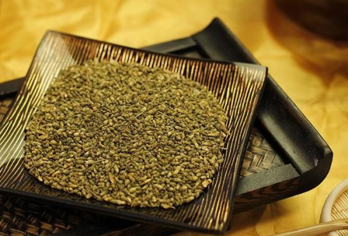 Dược liệu hoa hòe: Tác dụng và cách dùng trong chữa bệnh